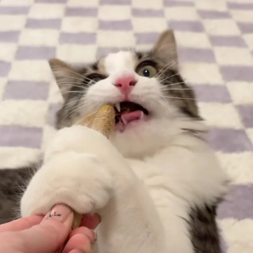 All Natural Silvervine Cat Dental Sticks