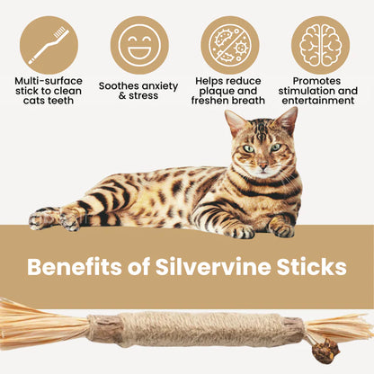 All Natural Silvervine Cat Dental Sticks