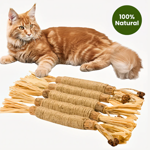 All Natural Silvervine Cat Dental Sticks