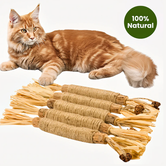 All Natural Silvervine Cat Dental Sticks