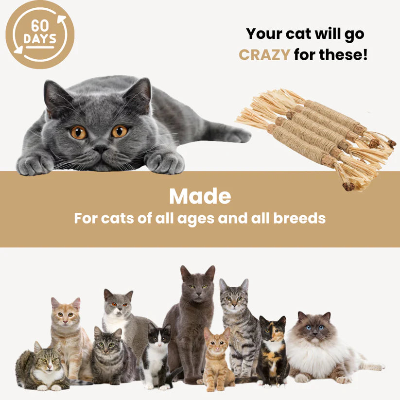 All Natural Silvervine Cat Dental Sticks