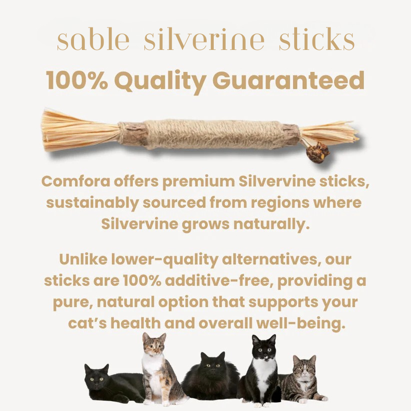 All Natural Silvervine Cat Dental Sticks