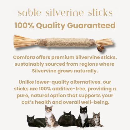 All Natural Silvervine Cat Dental Sticks
