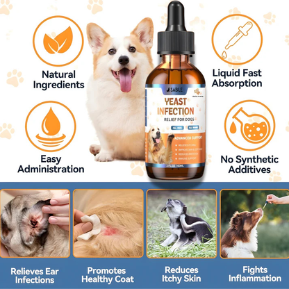 Yeast Infection Drops For Dogs
